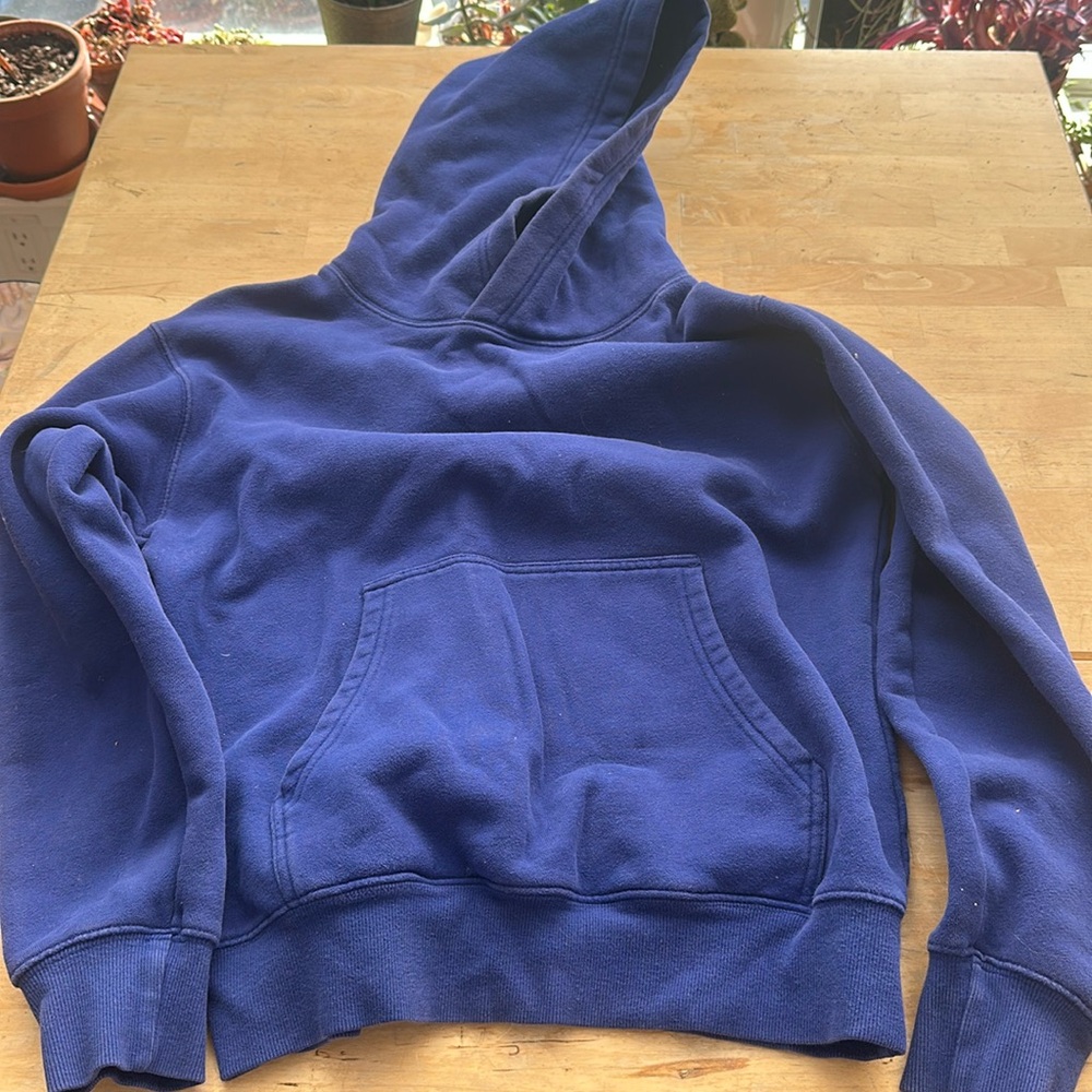 TNA Blue hoodie sweater